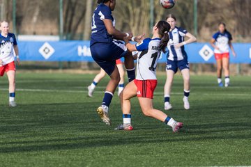 Bild 291 - wBJ Hamburger SV - Hertha BSC : Ergebnis: 2:1